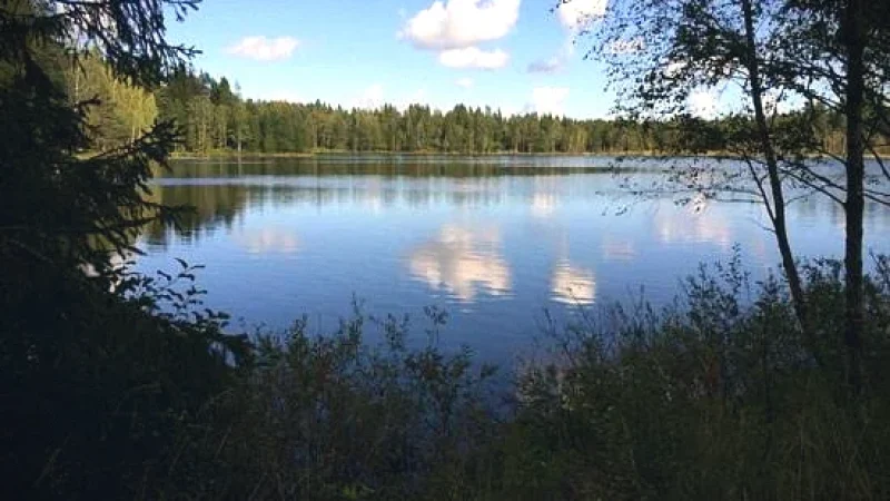 Billingens Nature Reserve – Hiking & picnic(4)