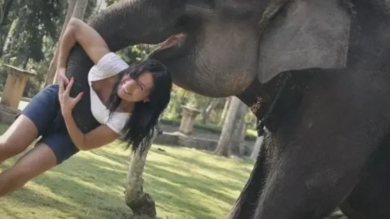 Bintan Elephant Park(6)