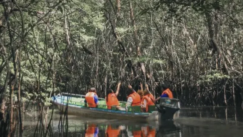 Bintan Mangrove Discovery Tour(2)