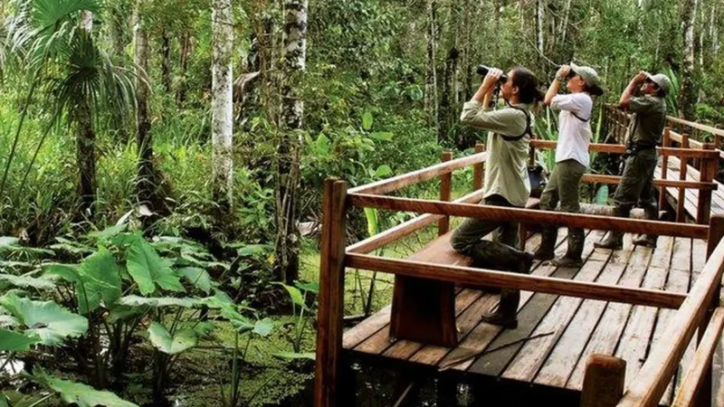 Biodiversity_Viewpoints_–_Forest_observation_spots__04