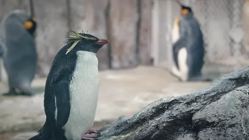 Biodome de Montréal – Indoor nature(3)