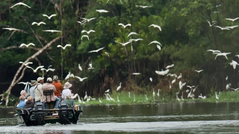 Bird_Watching_Areas_–_Macaws_and_water_birds__05