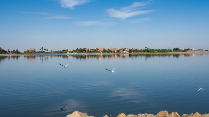 Birdwatching Areas – Migratory Bird Habitats(3)