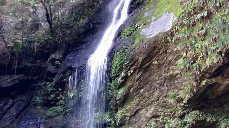 Biwa Waterfall(6)