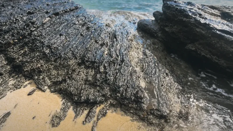 Black Sand Beach (Langkawi)(2)