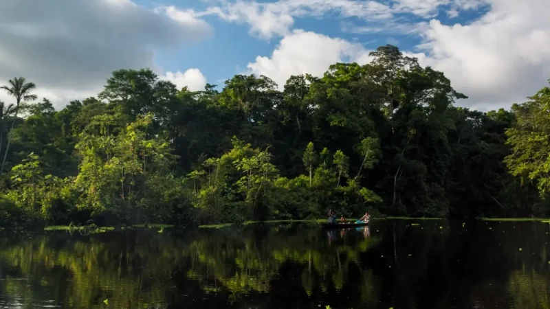 Blackwater_Lagoons_–_Fish_and_bird_habitats__01