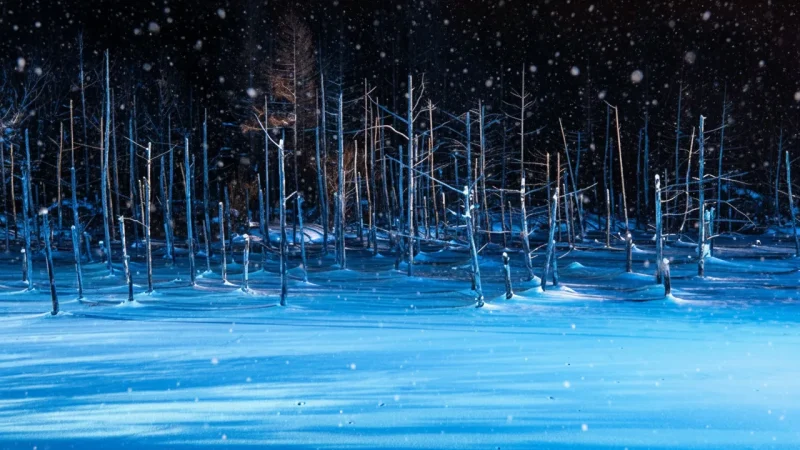 Blue Pond (Aoiike – Biei)(3)
