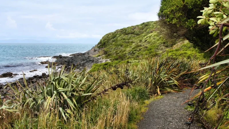 Bluff_Foreshore_тАУ_Relaxed_seaside_area_06