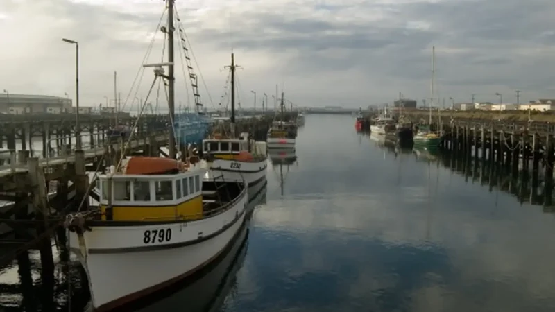 Bluff_Harbour_тАУ_Fishing_boats_and_coastal_views_03