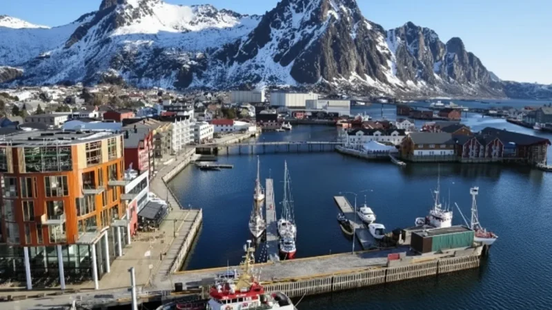 Boat Tour Piers – Trollfjord & Sea Eagle Safaris(4)