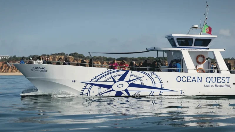 Boat Tours – Coastal & dolphin trips(5)