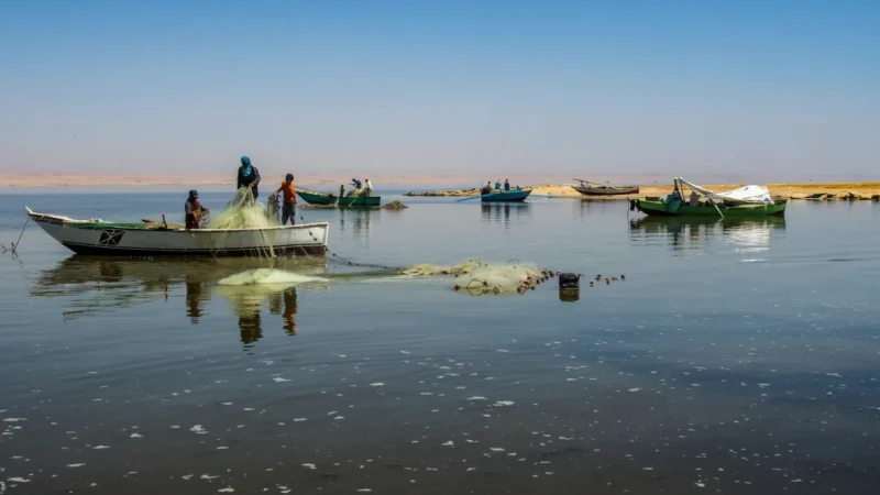 Boat Viewing Points – Small Fishing Boats(6)