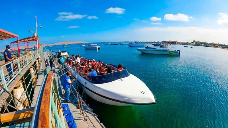 Boat_Tour_Access_Points_–_Marine_wildlife_excursions__06
