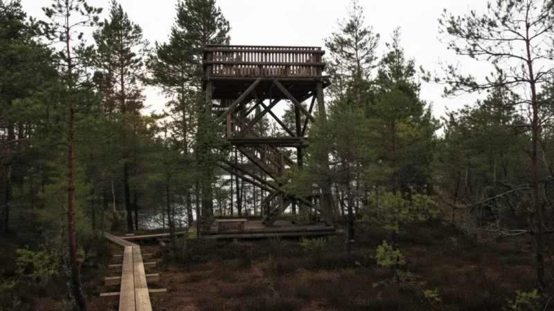 Bog Observation Platform(1)