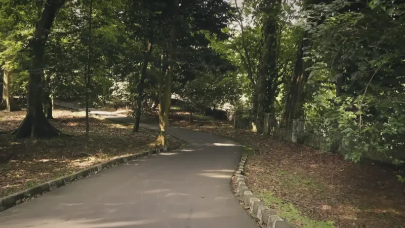 Bogor Botanical Gardens (Kebun Raya Bogor)(2)