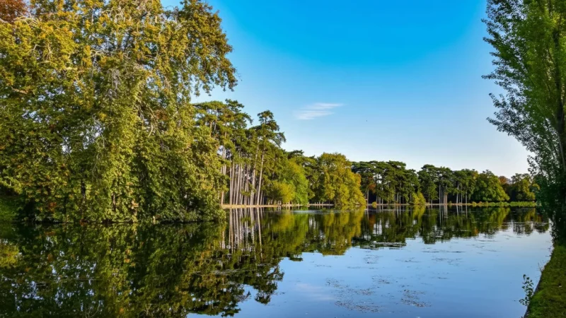 Bois de Boulogne – Large urban park for walking and relaxing(2)
