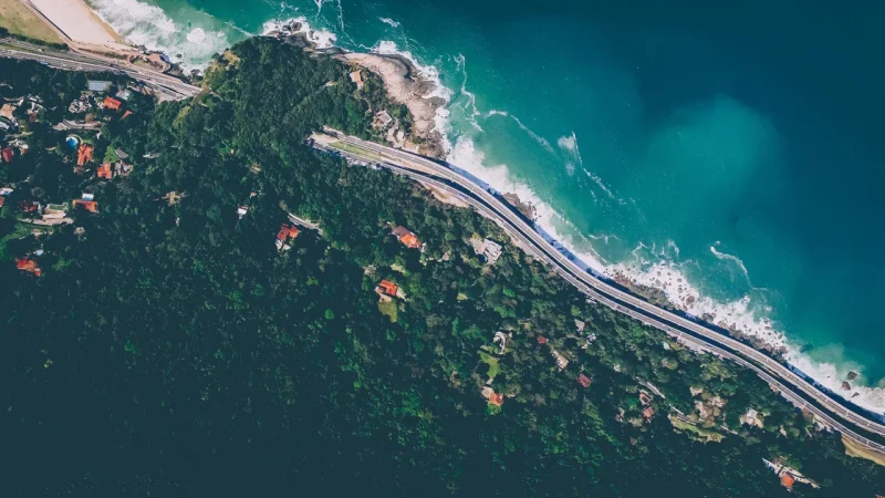 Bolgoda Lake (South Border Area)6