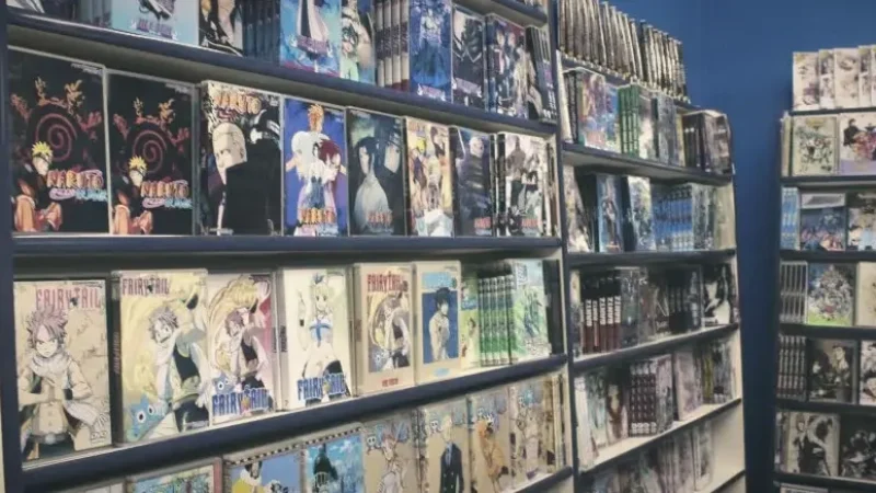 Bookshops and Manga Stores – Cultural shopping(1)