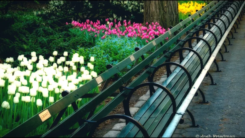 Borås City Park – Central park with walking paths and greenery(5)
