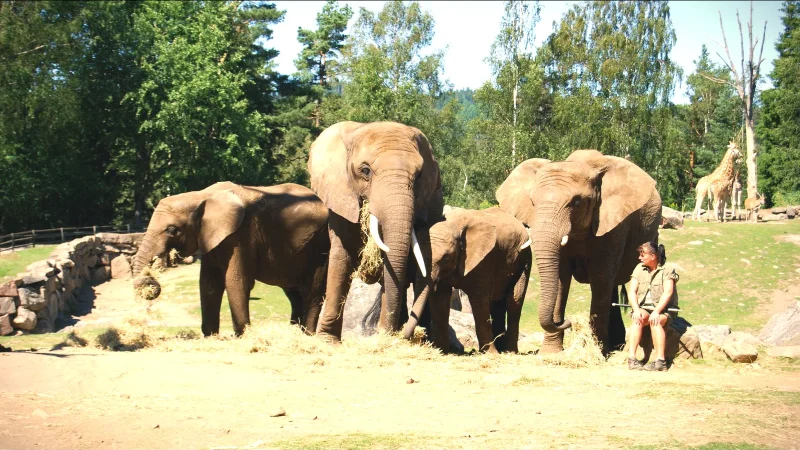 Borås Zoo(4)