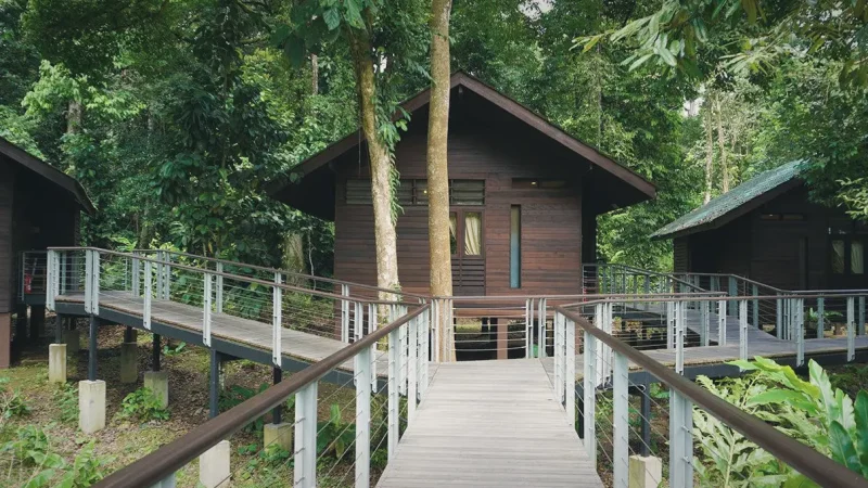 Borneo Rainforest Lodge Trails(4)