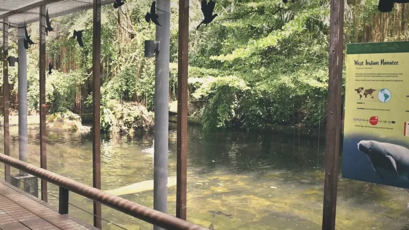 Bosque da Ciência(1)