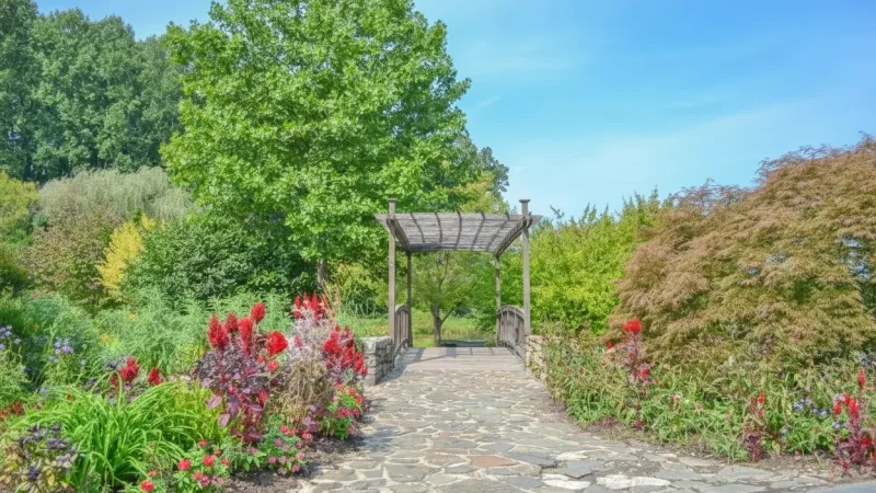 Botanical Garden Vienna – Green walking area(3)