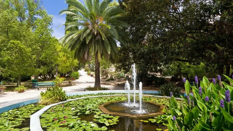 Botanical Garden of Cagliari(6)
