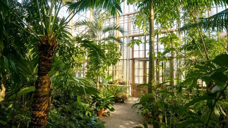 Botanical_Garden_(Hortus_Botanicus_Harderwijk)_06