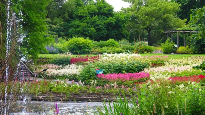 Botanical_Gardens_Utrecht_University_02