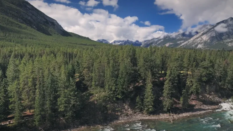 Bow Falls – Waterfall near Banff(6)