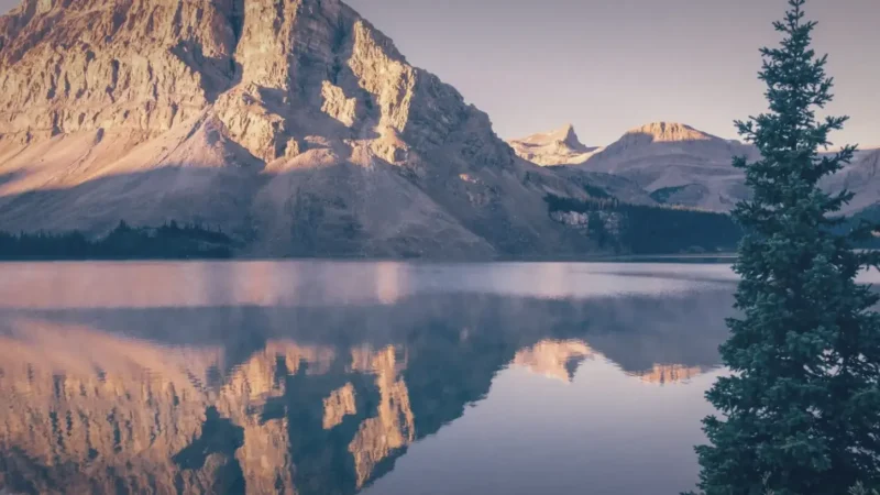 Bow Lake – Lakeside scenery(4)