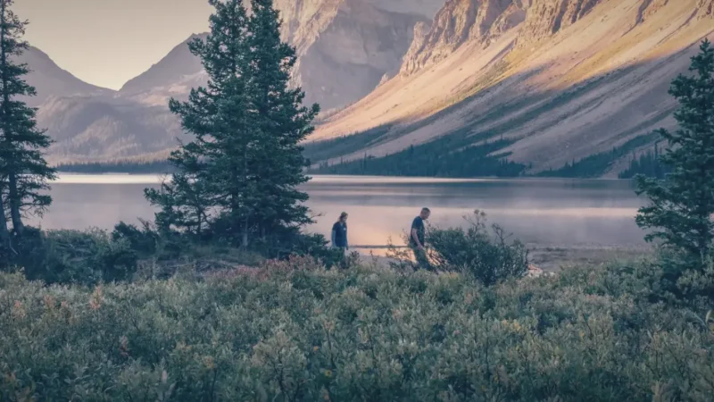 Bow Lake – Scenic lake(3)