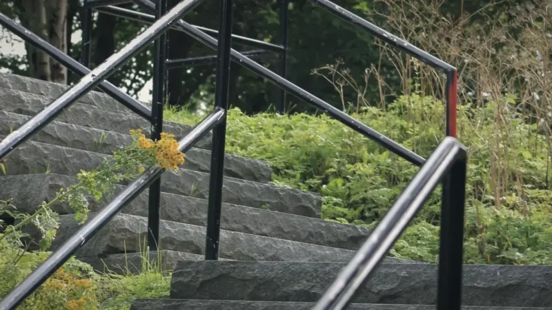 Bowring Park – Urban park and gardens(7)