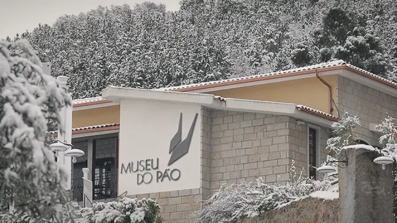 Bread Museum (Museu do Pão)(2)