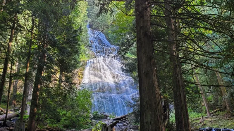 Bridal_Veil_Falls_тАУ_Forest_waterfall_05