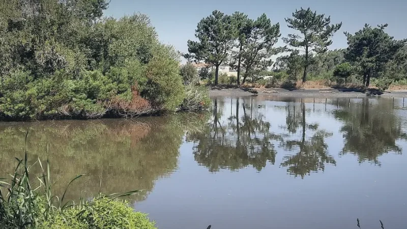Buçaquinho Environmental Park – Forest walks and nature trails(4)