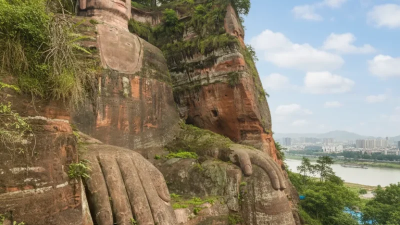 Buddha Viewing Platforms – Elevated observation points(6)