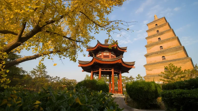 Buddhist Statue Gardens(1)