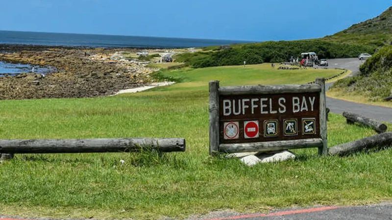 Buffels_Bay_тАУ_Calm_picnic_beach_area_04