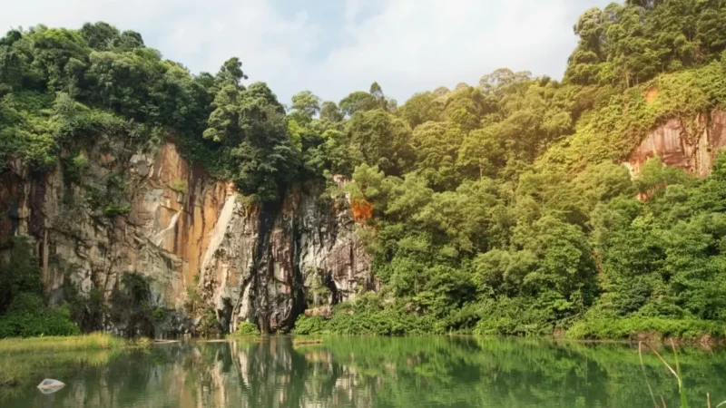 Bukit Timah Nature Reserve(1)