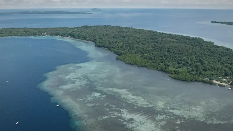 Bunaken Island(1)