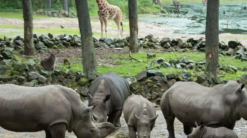 BurgersтАЩ_Zoo_05