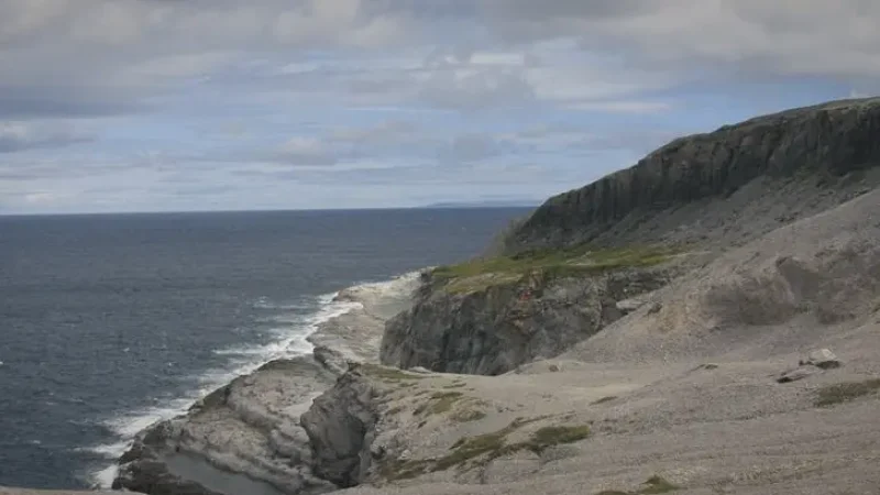 Burnt Cape Ecological Reserve – Rare plant life area(4)