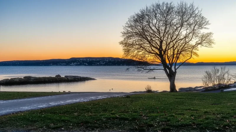 Bygdøy Peninsula – Museum area and green spaces(1)