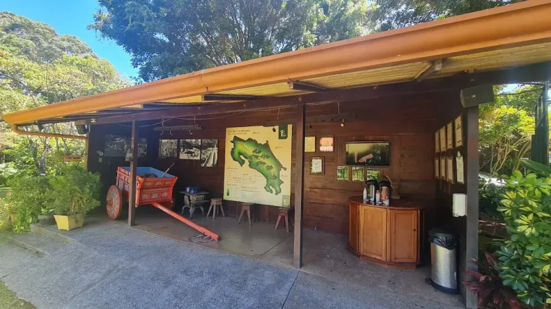 Café Britt Coffee Tour6