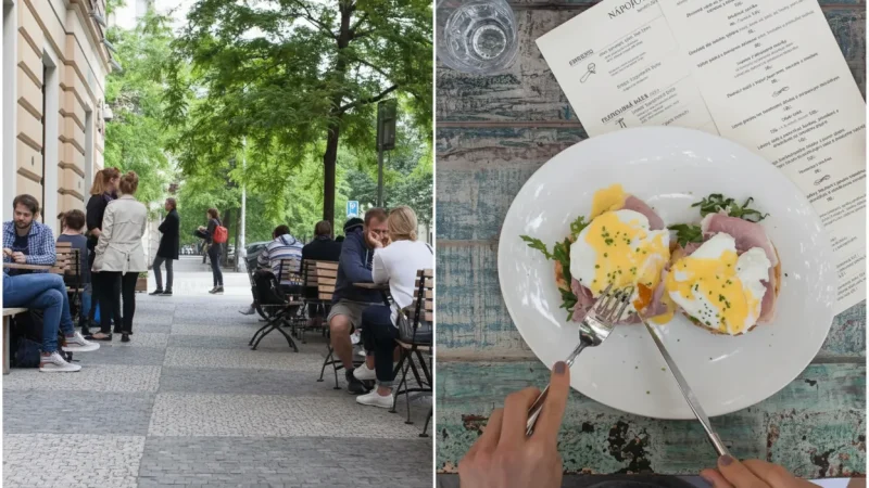 Cafés & Restaurants – City dining spots(3)