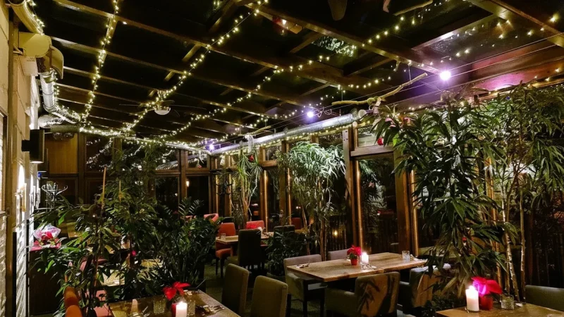 Cafés & Restaurants – Local Dining Spots(5)