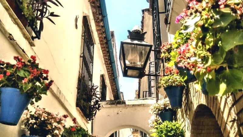 Calleja de las Flores(3)