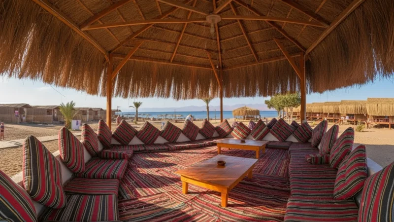 Calm Seaside Rest Areas – Quiet relaxation(3)